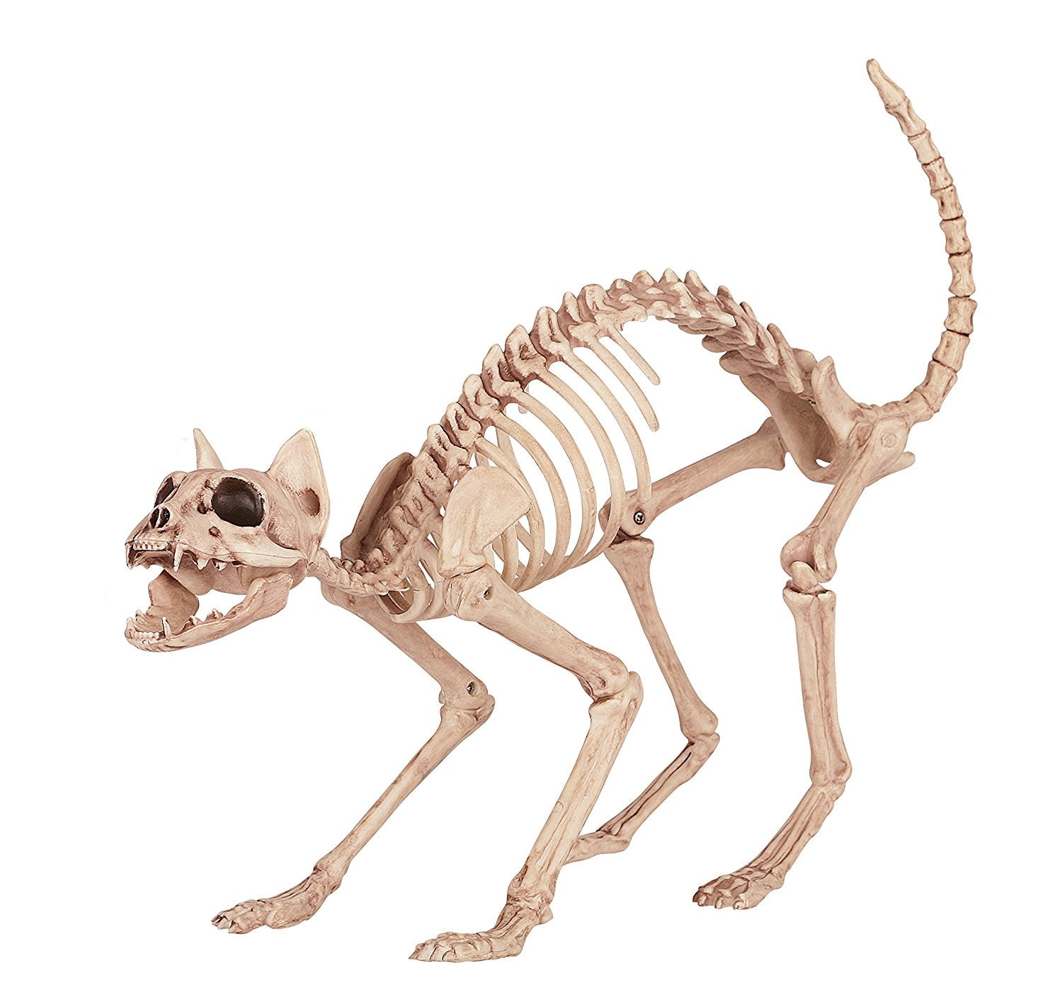 Skeleton Cat Figurine
