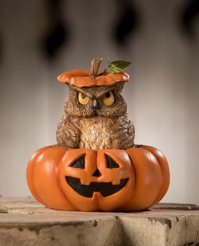 Mr. Grumps Owl in Pumpkin