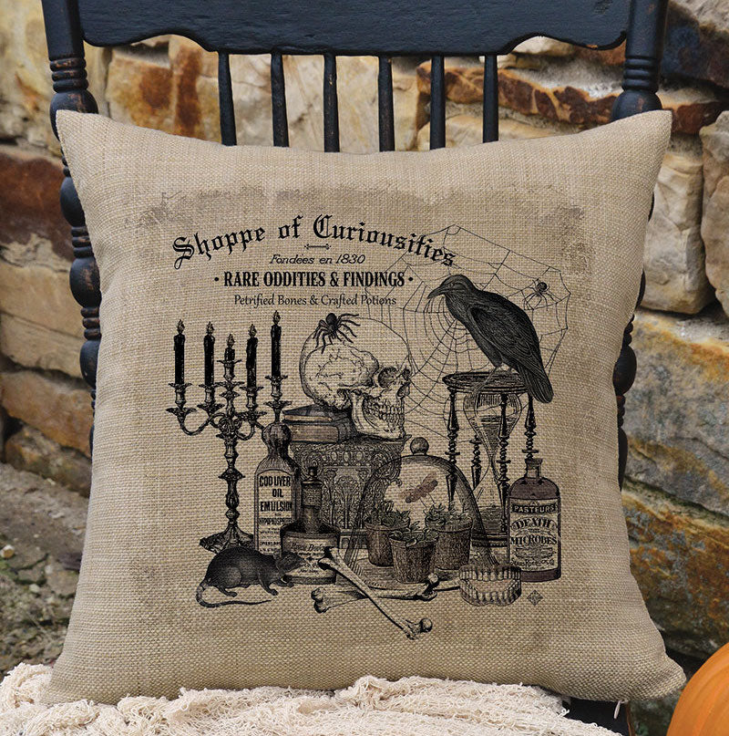 Shoppe of Curiosities Pillow